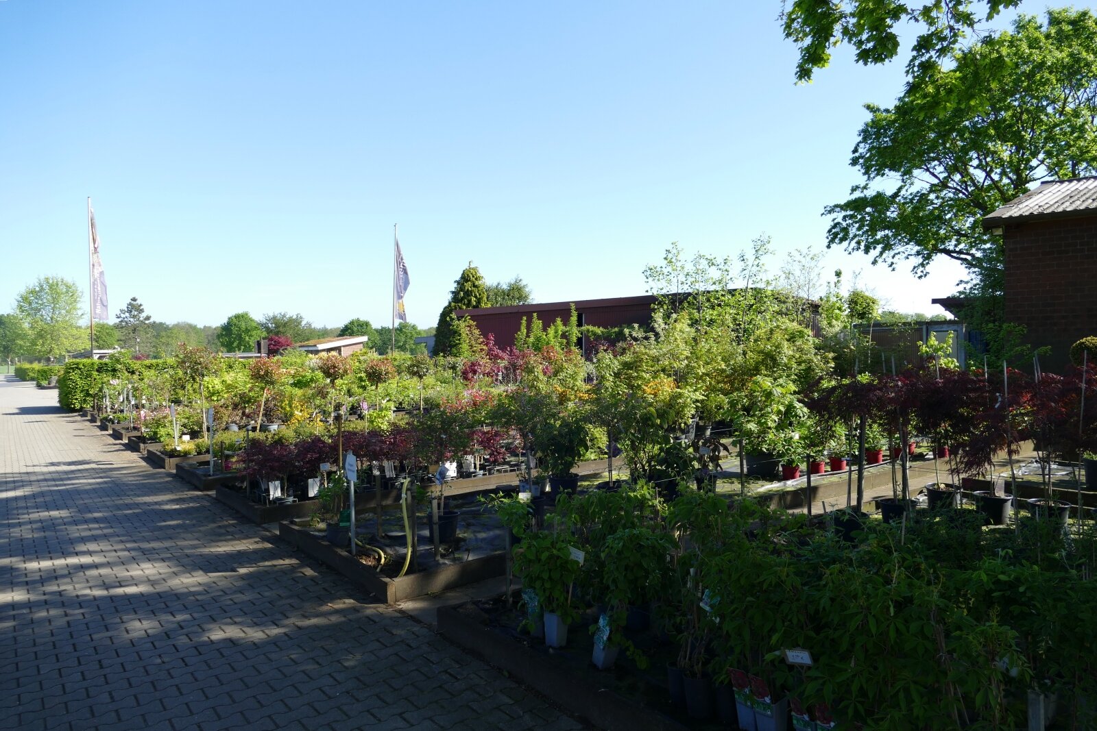 Einzigartige Wohn-und Gewerbeimmobilie mit Tierhaltung, Gartenbaubetrieb-Handwerk in Klosterholte- Wohnen,Arbeiten,Leben-alles an einem Ort