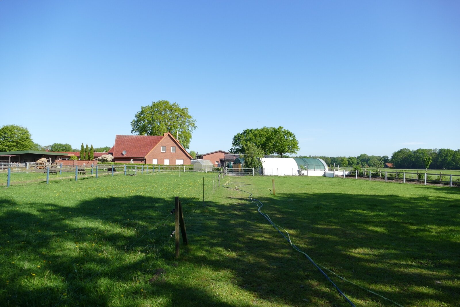 Einzigartige Wohn-und Gewerbeimmobilie mit Tierhaltung, Gartenbaubetrieb-Handwerk in Klosterholte- Wohnen,Arbeiten,Leben-alles an einem Ort