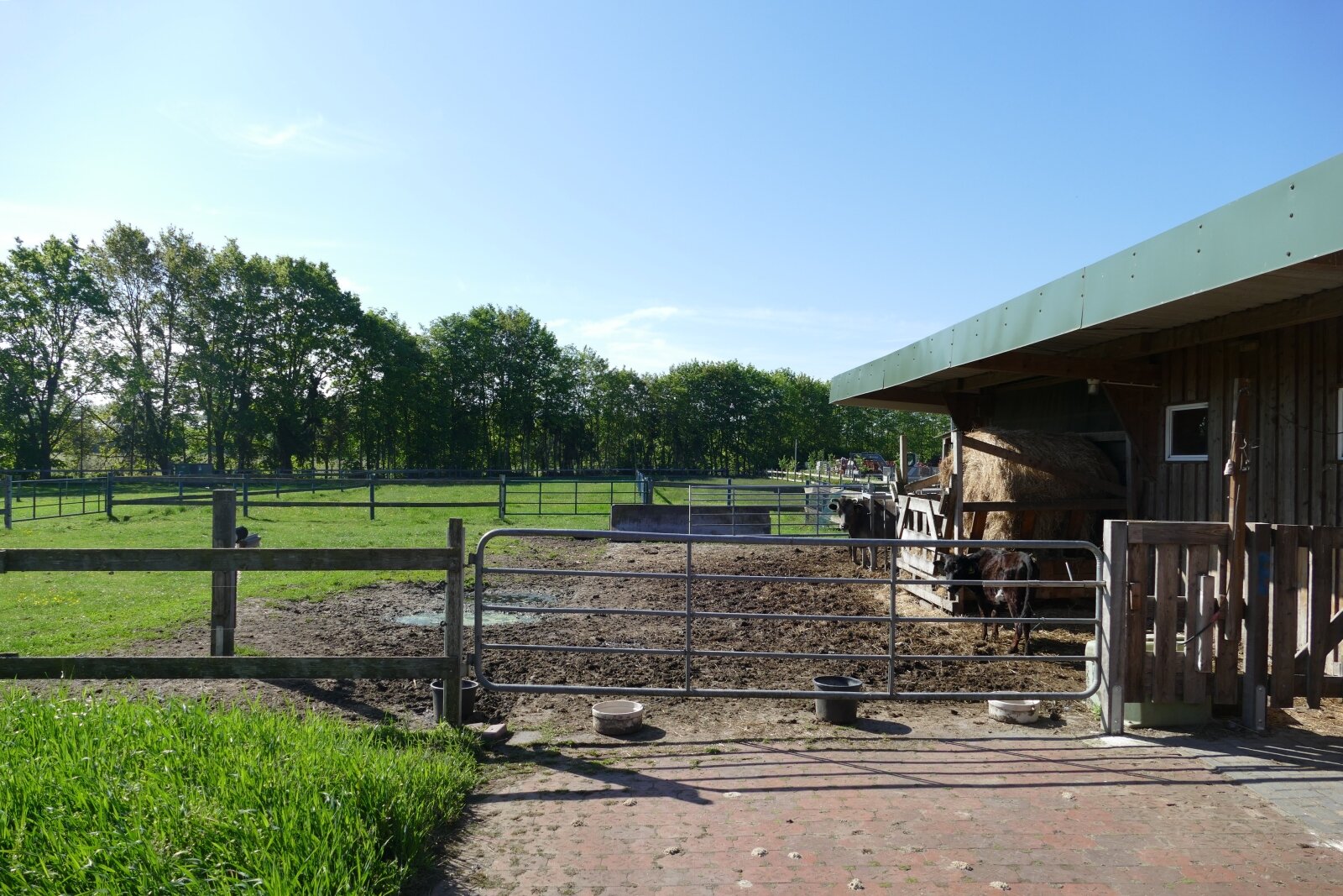 Einzigartige Wohn-und Gewerbeimmobilie mit Tierhaltung, Gartenbaubetrieb-Handwerk in Klosterholte- Wohnen,Arbeiten,Leben-alles an einem Ort