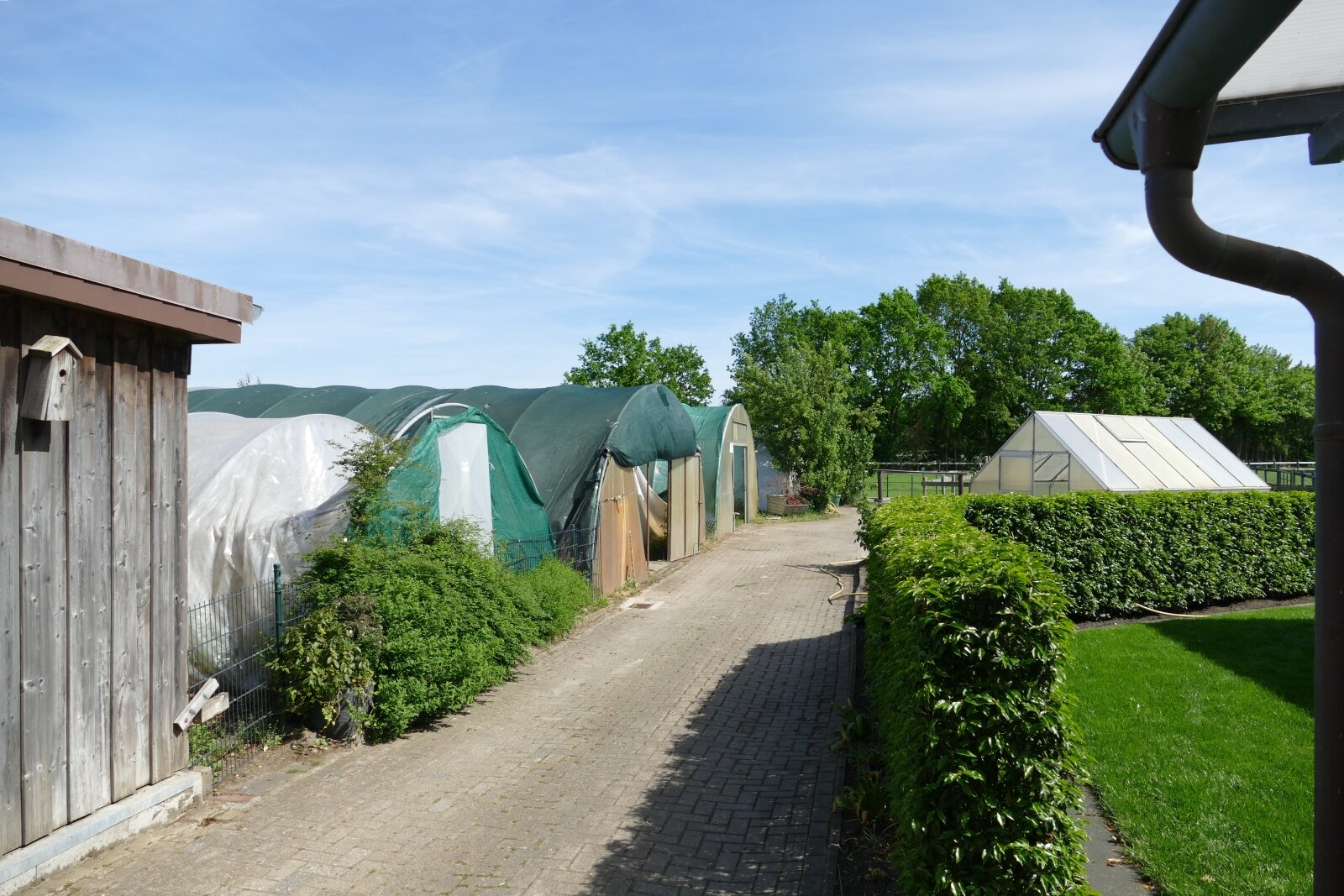 Einzigartige Wohn-und Gewerbeimmobilie mit Tierhaltung, Gartenbaubetrieb-Handwerk in Klosterholte- Wohnen,Arbeiten,Leben-alles an einem Ort