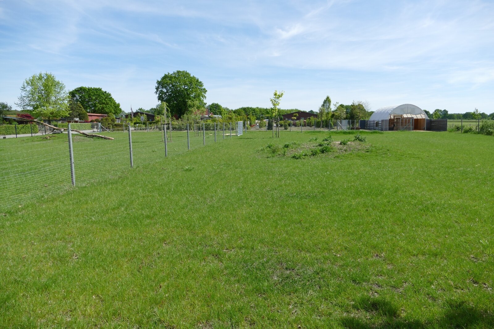 Einzigartige Wohn-und Gewerbeimmobilie mit Tierhaltung, Gartenbaubetrieb-Handwerk in Klosterholte- Wohnen,Arbeiten,Leben-alles an einem Ort